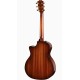 Taylor 314ce 50TH ANNIVERSARY LTD