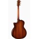 Taylor 314ce 50TH ANNIVERSARY LTD