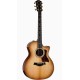 Taylor 314ce 50TH ANNIVERSARY LTD